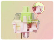 Gateron Harmonic Clicky Switch