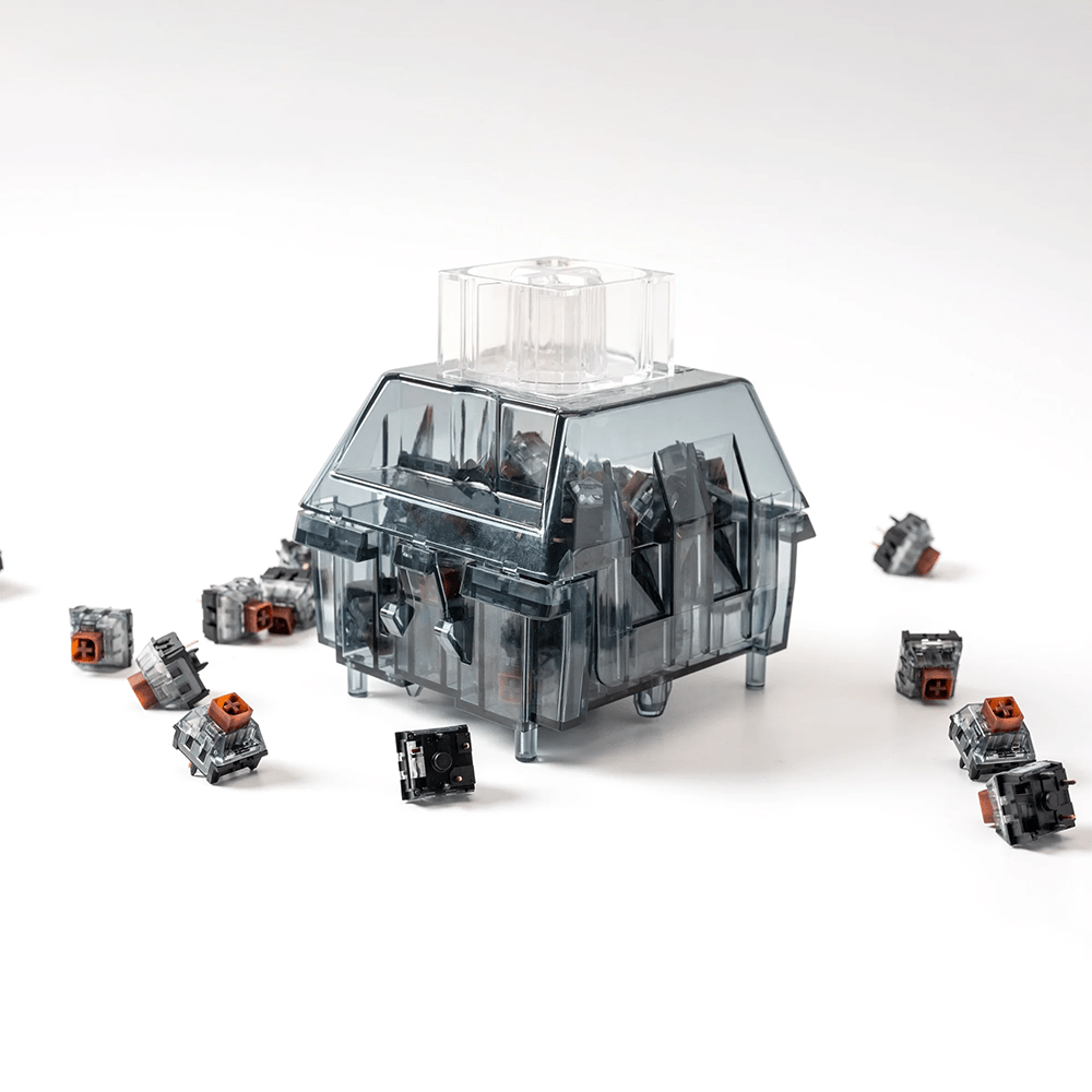 Kailh Switch Storage Box - InputGear DE