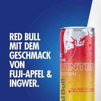 Red Bull Winter Edition Fuji-Apfel & Ingwer - 250ml Dose - InputGear DE